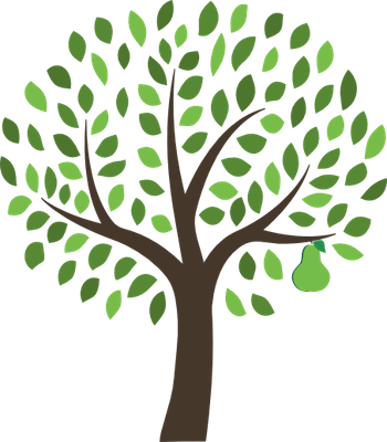 Pear Tree